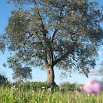 Regina Di Ulivi Ostuni