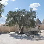 Regina Di Ulivi