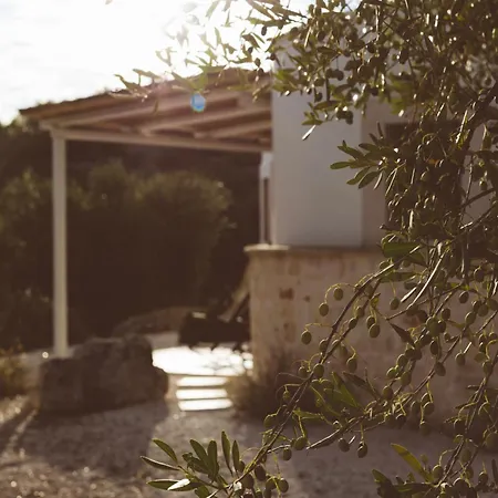 Bed & Breakfast Regina Di Ulivi Ostuni
