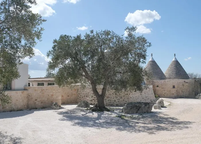Regina Di Ulivi