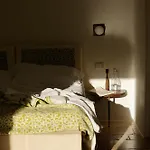 Regina Di Ulivi
